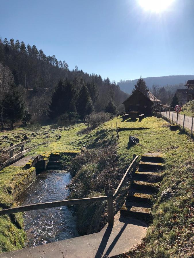 La Dependance De La Villa Des Oiseaux - La Petite Pierre Kültér fotó