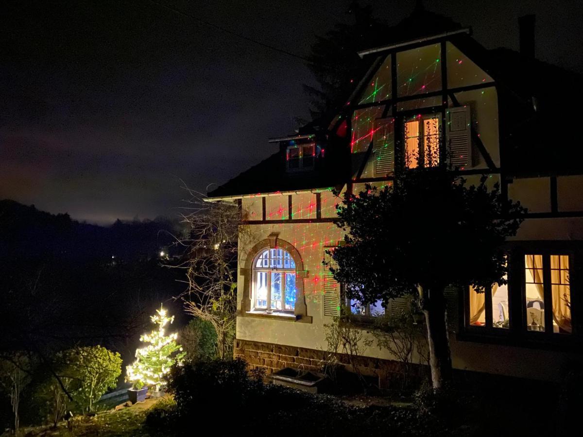 La Dependance De La Villa Des Oiseaux - La Petite Pierre Kültér fotó