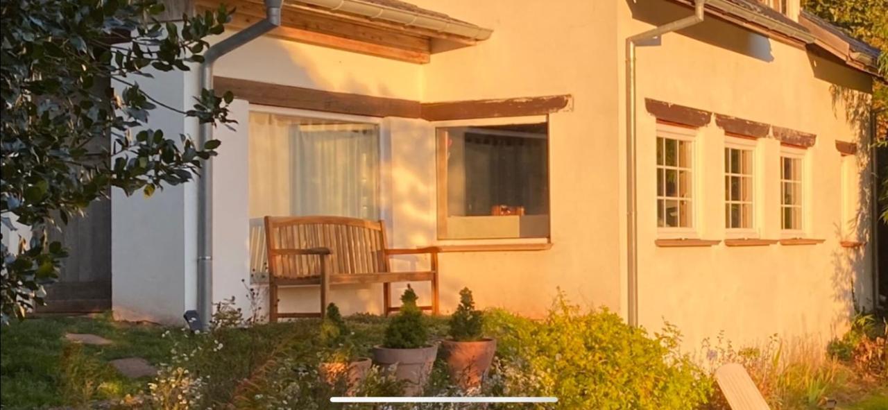 La Dependance De La Villa Des Oiseaux - La Petite Pierre Kültér fotó