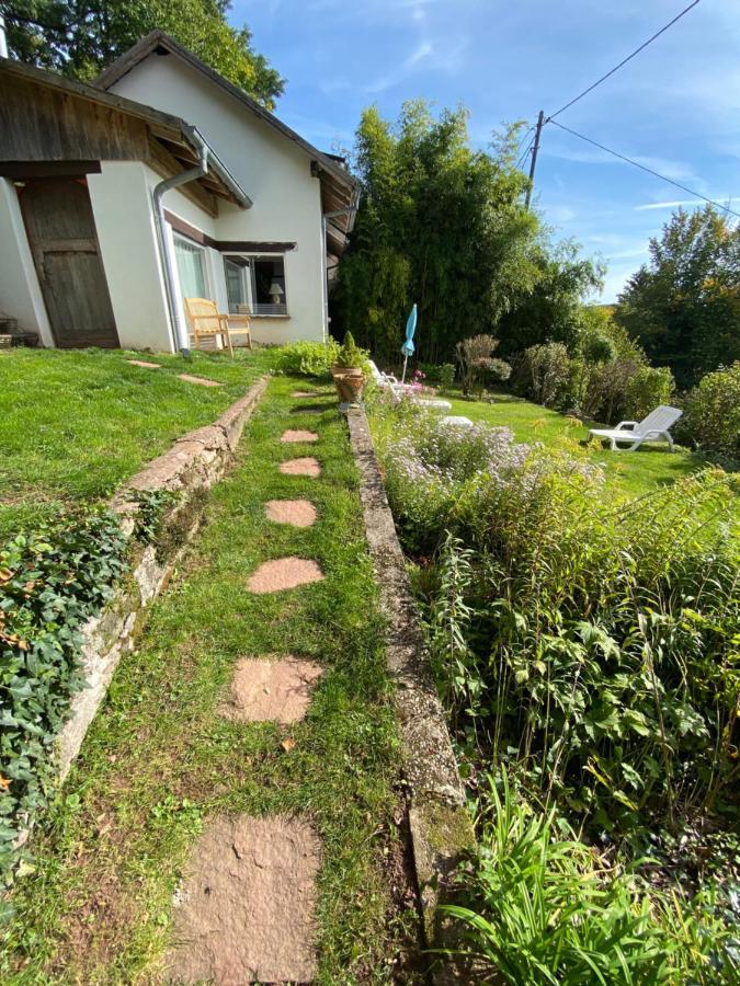 La Dependance De La Villa Des Oiseaux - La Petite Pierre Kültér fotó