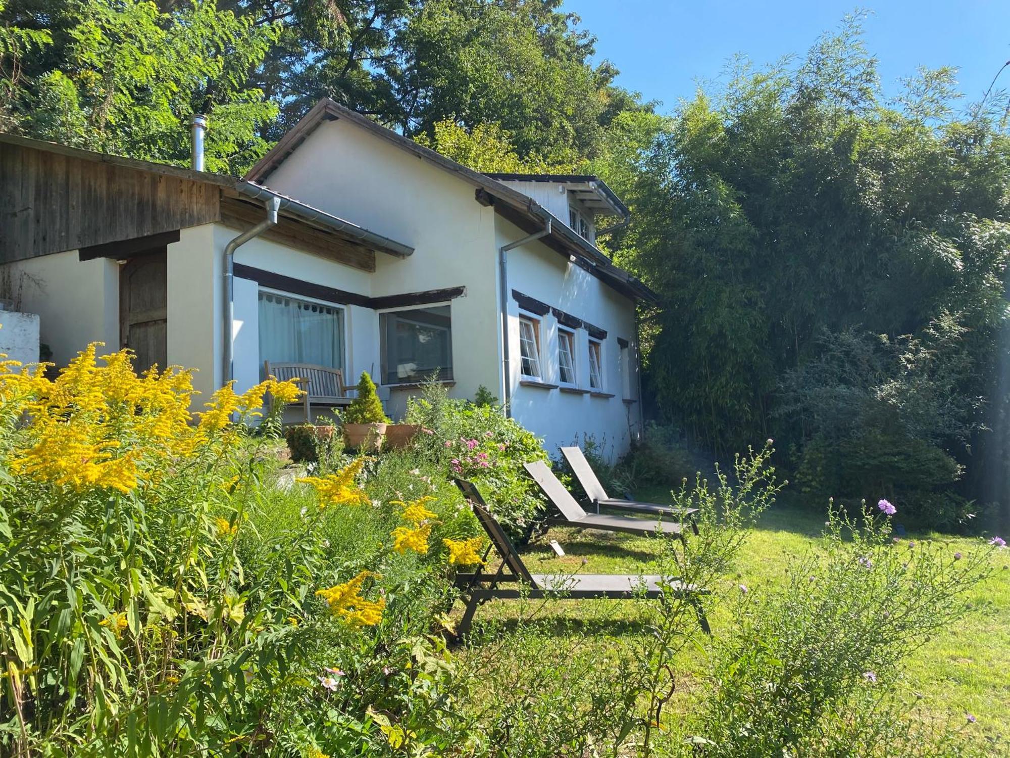 La Dependance De La Villa Des Oiseaux - La Petite Pierre Kültér fotó