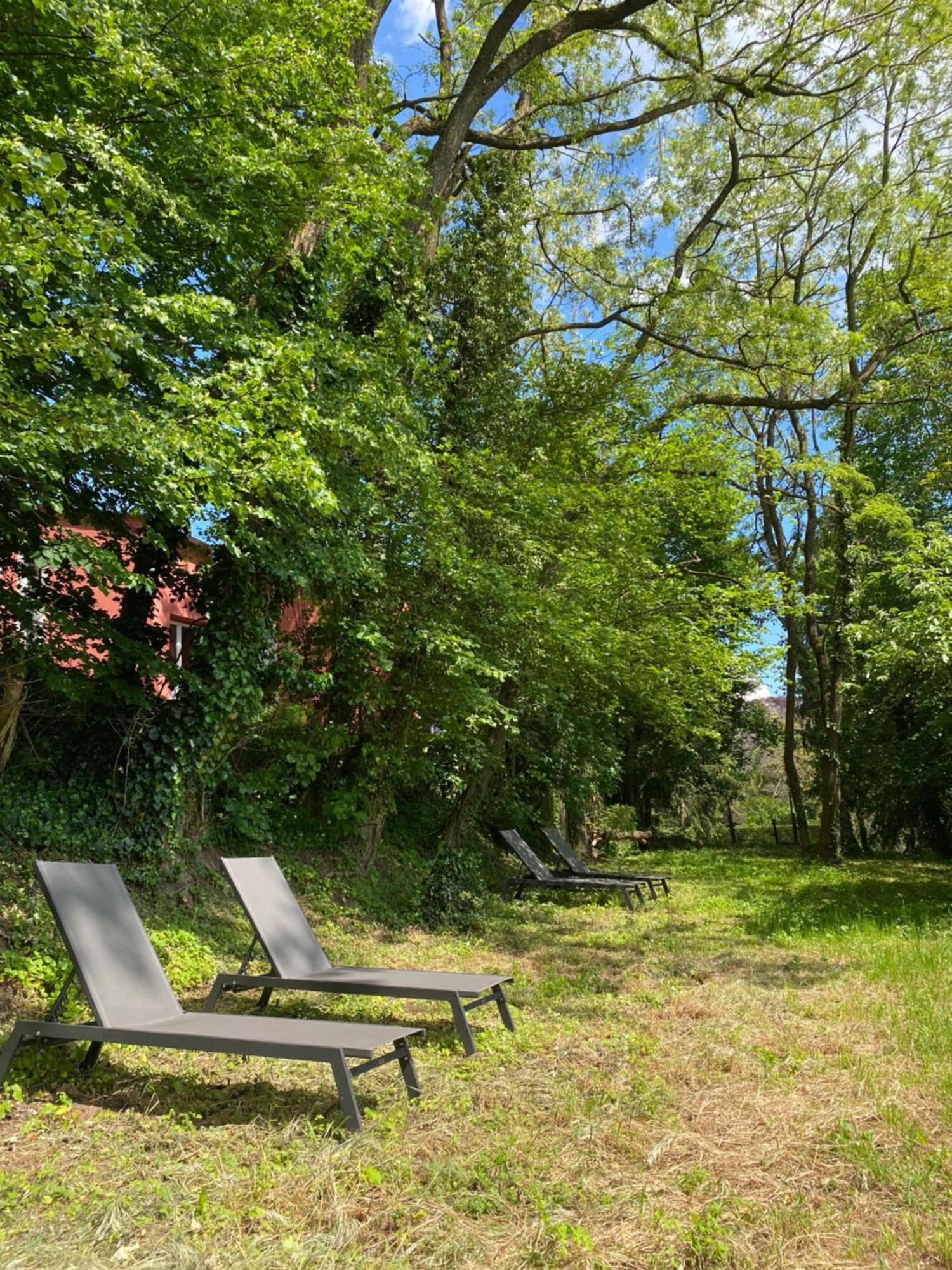 La Dependance De La Villa Des Oiseaux - La Petite Pierre Kültér fotó