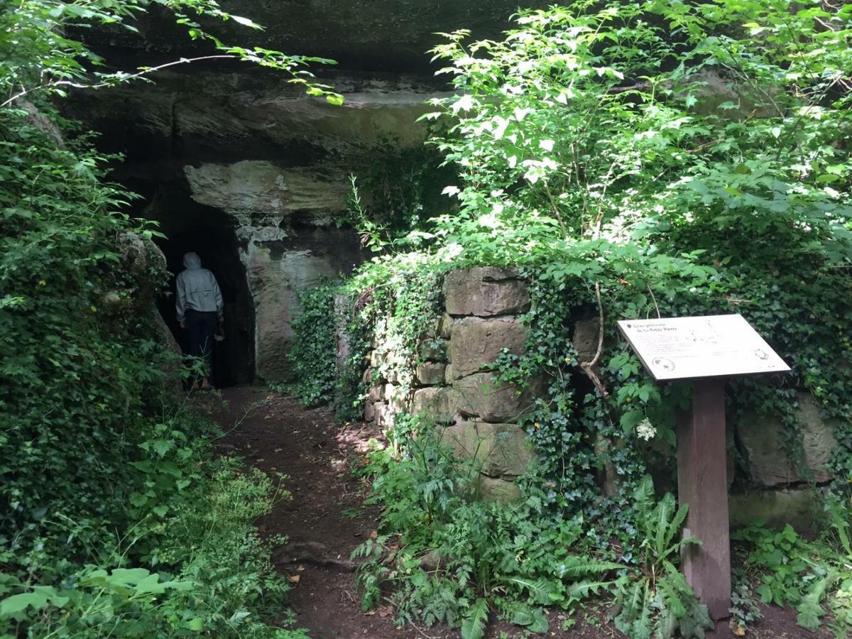 La Dependance De La Villa Des Oiseaux - La Petite Pierre Kültér fotó