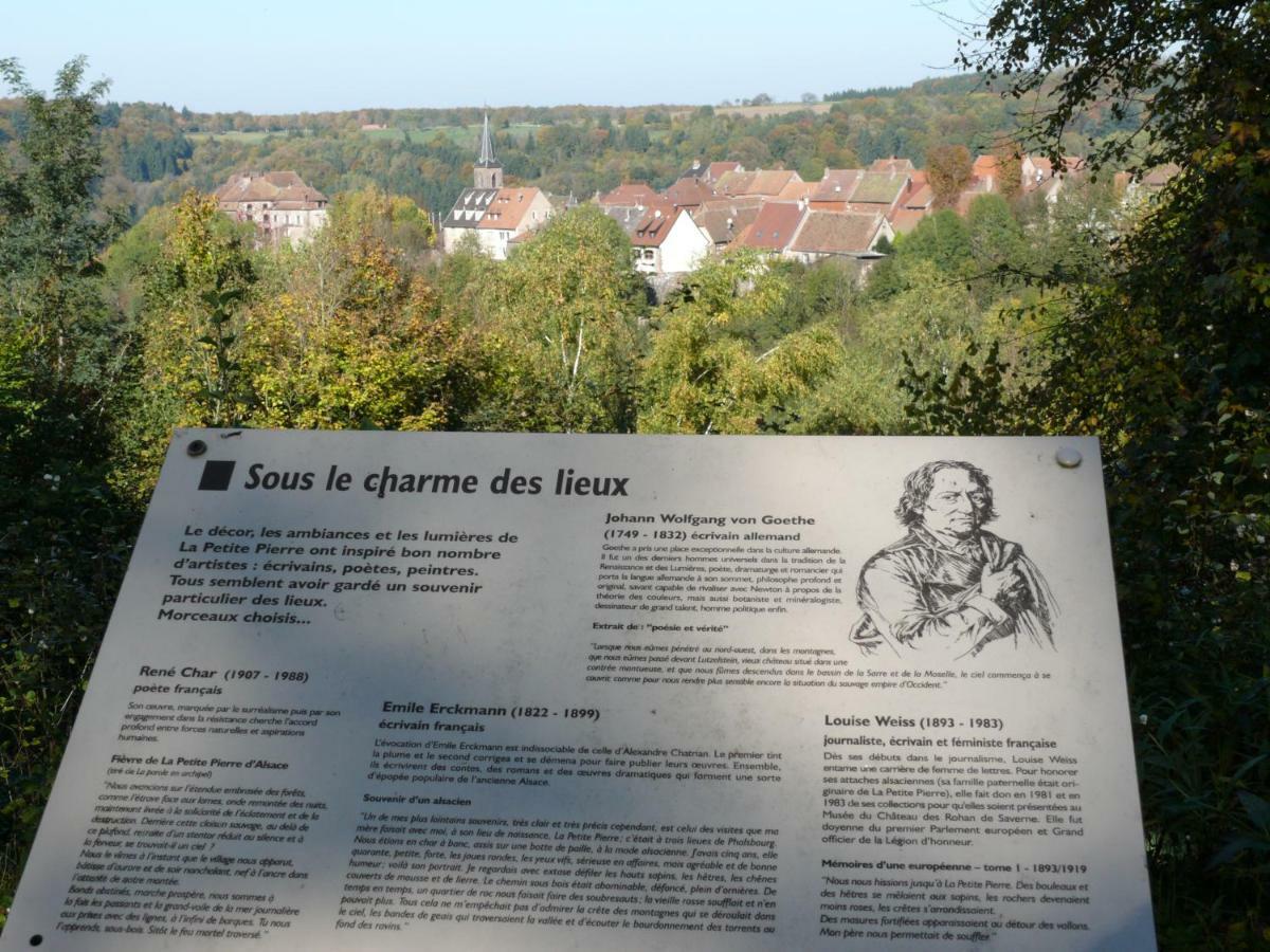 La Dependance De La Villa Des Oiseaux - La Petite Pierre Kültér fotó
