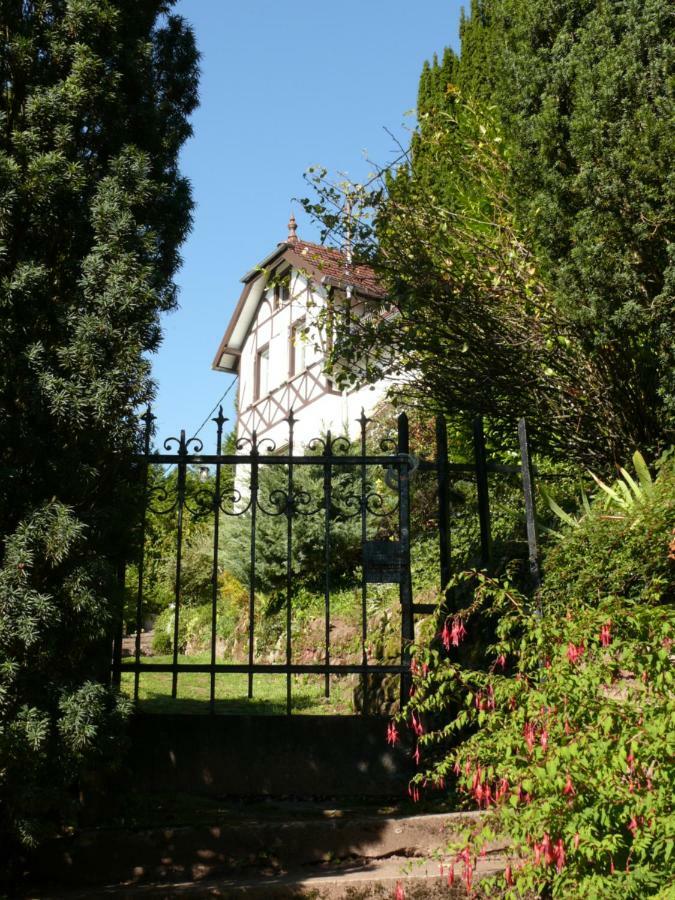 La Dependance De La Villa Des Oiseaux - La Petite Pierre Kültér fotó